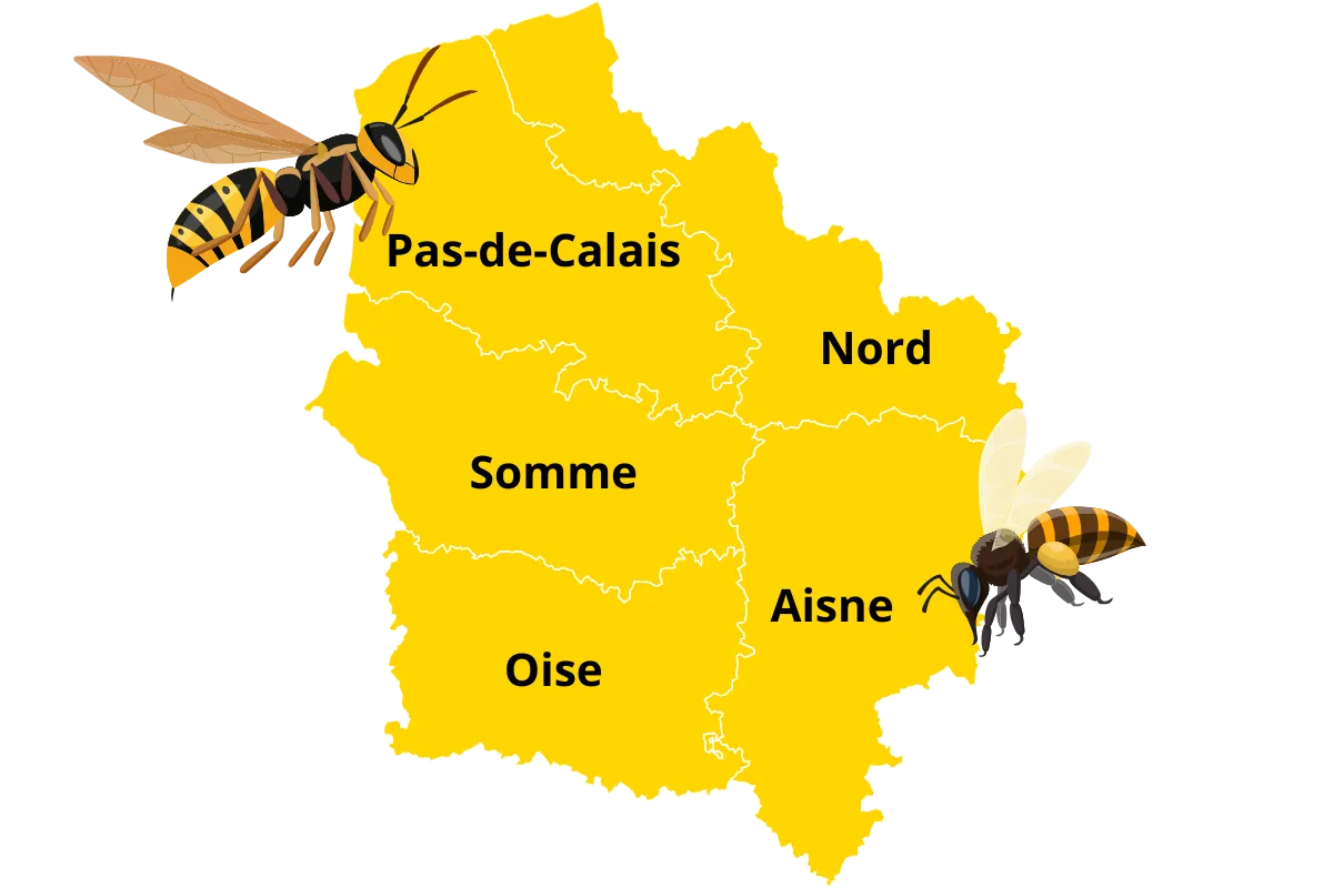 Photo de la carte des interventions Target Guêpe pour la destruction de nids de guêpes et frelons dans les Hauts de France : Pas de Calais, Nord, Somme, Aisne, Oise.